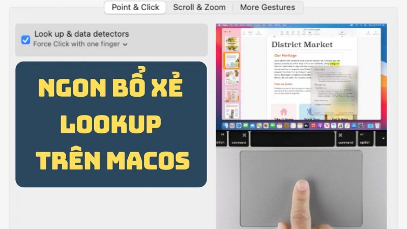 MacOS: Nhược điểm của Look Up và giải pháp khắc phục