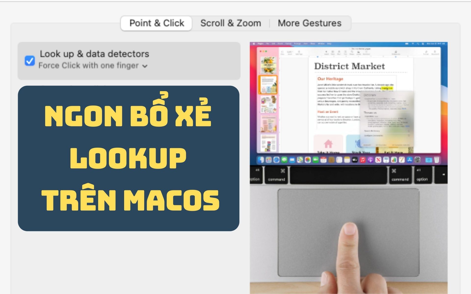Nhược điểm của Look Up trên MacOS và giải pháp khắc phục